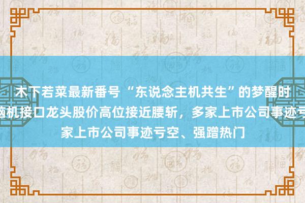 木下若菜最新番号 “东说念主机共生”的梦醒时刻：往时A股脑机接口龙头股价高位接近腰斩，多家上市公司事迹亏空、强蹭热门