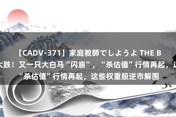 【CADV-371】家庭教師でしようよ THE BEST 2 事迹高增却大跌！又一只大白马“闪崩”，“杀估值”行情再起，这些权重股逆市解围