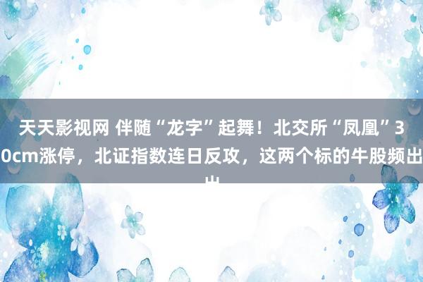 天天影视网 伴随“龙字”起舞！北交所“凤凰”30cm涨停，北证指数连日反攻，这两个标的牛股频出