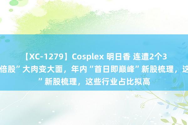 【XC-1279】Cosplex 明日香 连遭2个30cm跌停！“10倍股”大肉变大面，年内“首日即巅峰”新股梳理，这些行业占比拟高