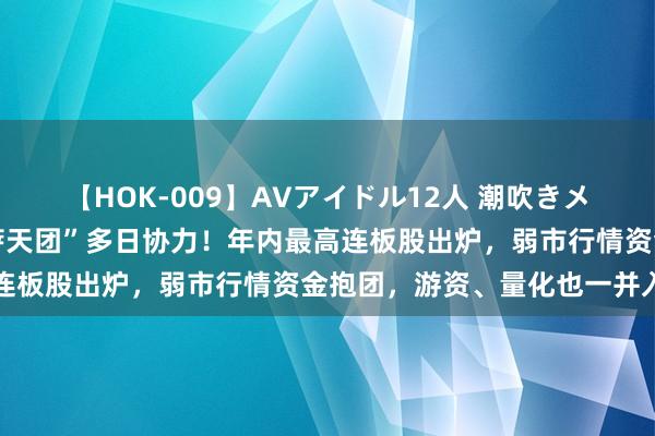 【HOK-009】AVアイドル12人 潮吹きメガファック！！！ “拉萨天团”多日协力！年内最高连板股出炉，弱市行情资金抱团，游资、量化也一并入场