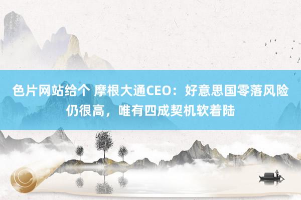 色片网站给个 摩根大通CEO：好意思国零落风险仍很高，唯有四成契机软着陆