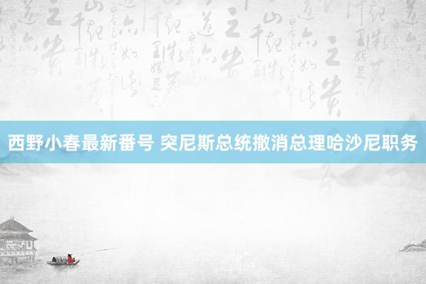 西野小春最新番号 突尼斯总统撤消总理哈沙尼职务