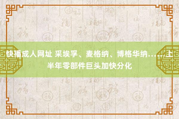 快播成人网址 采埃孚、麦格纳、博格华纳……上半年零部件巨头加快分化