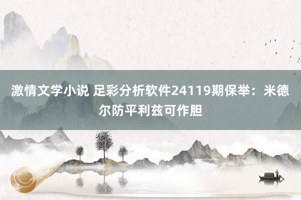 激情文学小说 足彩分析软件24119期保举：米德尔防平利兹可作胆