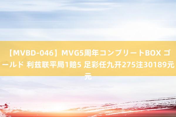 【MVBD-046】MVG5周年コンプリートBOX ゴールド 利兹联平局1赔5 足彩任九开275注30189元