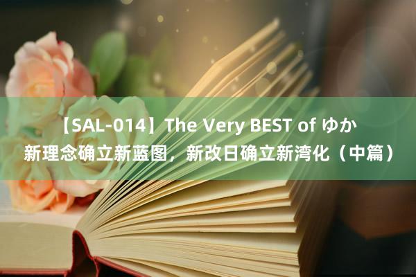 【SAL-014】The Very BEST of ゆか 新理念确立新蓝图，新改日确立新湾化（中篇）