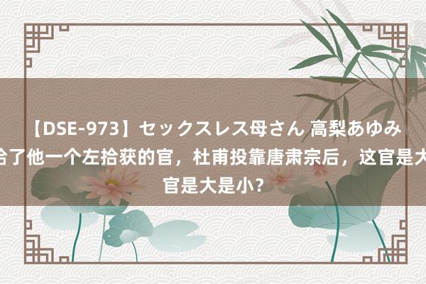 【DSE-973】セックスレス母さん 高梨あゆみ 朝廷给了他一个左拾获的官，杜甫投靠唐肃宗后，这官是大是小？