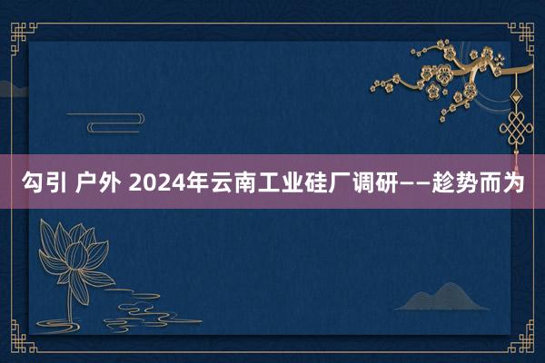 勾引 户外 2024年云南工业硅厂调研——趁势而为