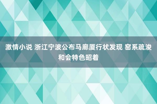 激情小说 浙江宁波公布马廊厦行状发现 窑系疏浚和会特色昭着