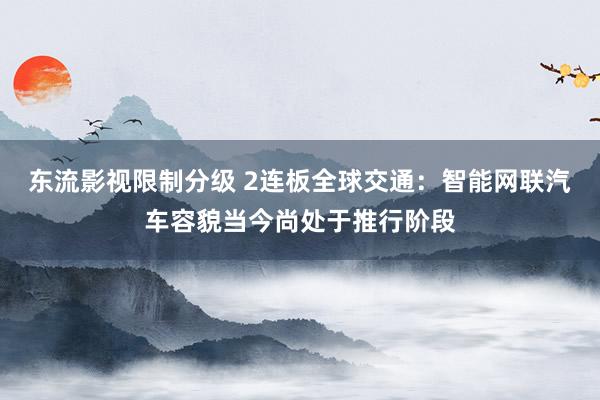 东流影视限制分级 2连板全球交通：智能网联汽车容貌当今尚处于推行阶段