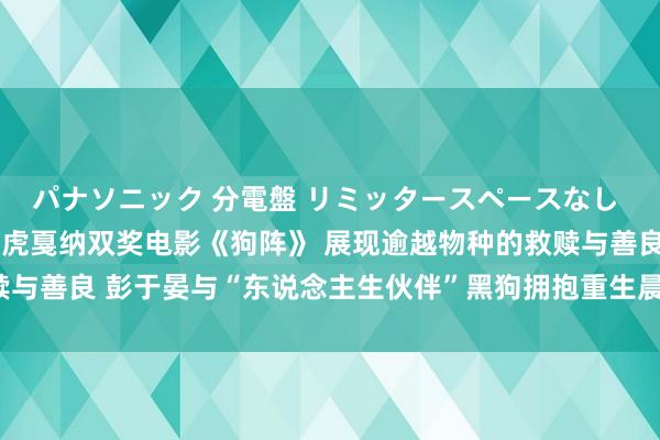 パナソニック 分電盤 リミッタースペースなし 露出・半埋込両用形 管虎戛纳双奖电影《狗阵》 展现逾越物种的救赎与善良 彭于晏与“东说念主生伙伴”黑狗拥抱重生晨曦|佟丽娅|电影票房