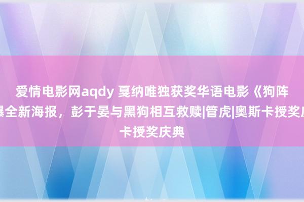 爱情电影网aqdy 戛纳唯独获奖华语电影《狗阵》曝全新海报，彭于晏与黑狗相互救赎|管虎|奥斯卡授奖庆典