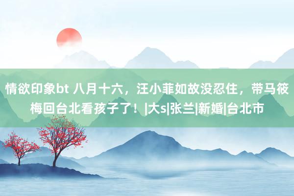 情欲印象bt 八月十六，汪小菲如故没忍住，带马筱梅回台北看孩子了！|大s|张兰|新婚|台北市