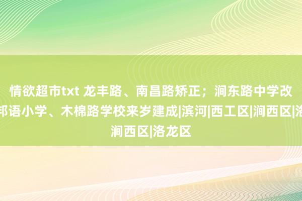 情欲超市txt 龙丰路、南昌路矫正；涧东路中学改为番邦语小学、木棉路学校来岁建成|滨河|西工区|涧西区|洛龙区